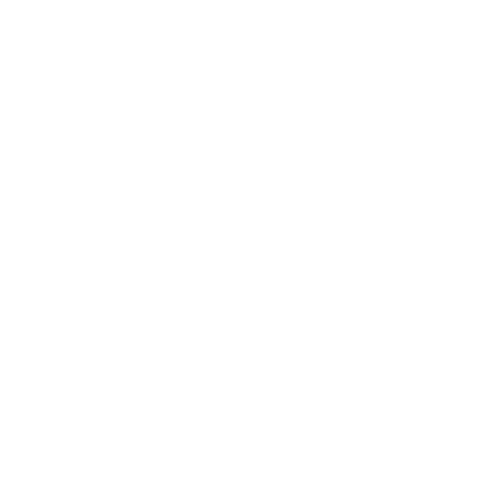 TopSocialStudio Logo